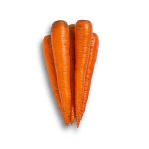 Трафорд F1 - морковь, (1,4-1,6), Rijk Zwaan фото, цена